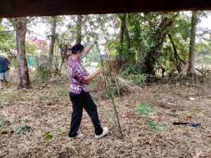 IMG_20240411_154605